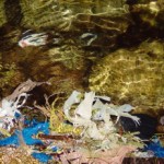 Des déchets de plastique jusqu'au fond des mers (crédit photo Elvis Santana)