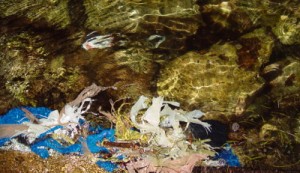 Des déchets de plastique jusqu'au fond des mers (crédit photo Elvis Santana)